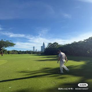 爆表辉辉辉's image