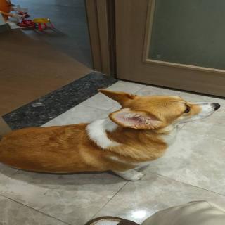 钱红霞GCO's image