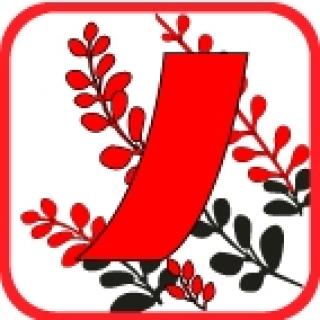 ZYZ's image