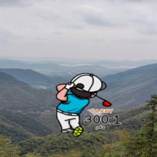 birdiebirdie's image