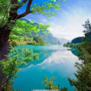 Mr~~程's image