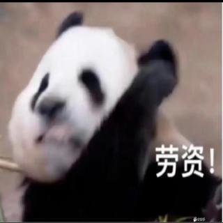 VanGolf甘明杨's image
